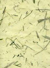 SEAWEED SHEET PASTEL YELLOW